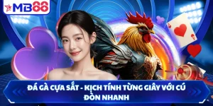 Đá Gà Cựa Sắt - Kịch Tính Từng Giây Với Cú Đòn Nhanh